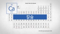 뼈와 치아의 성분.