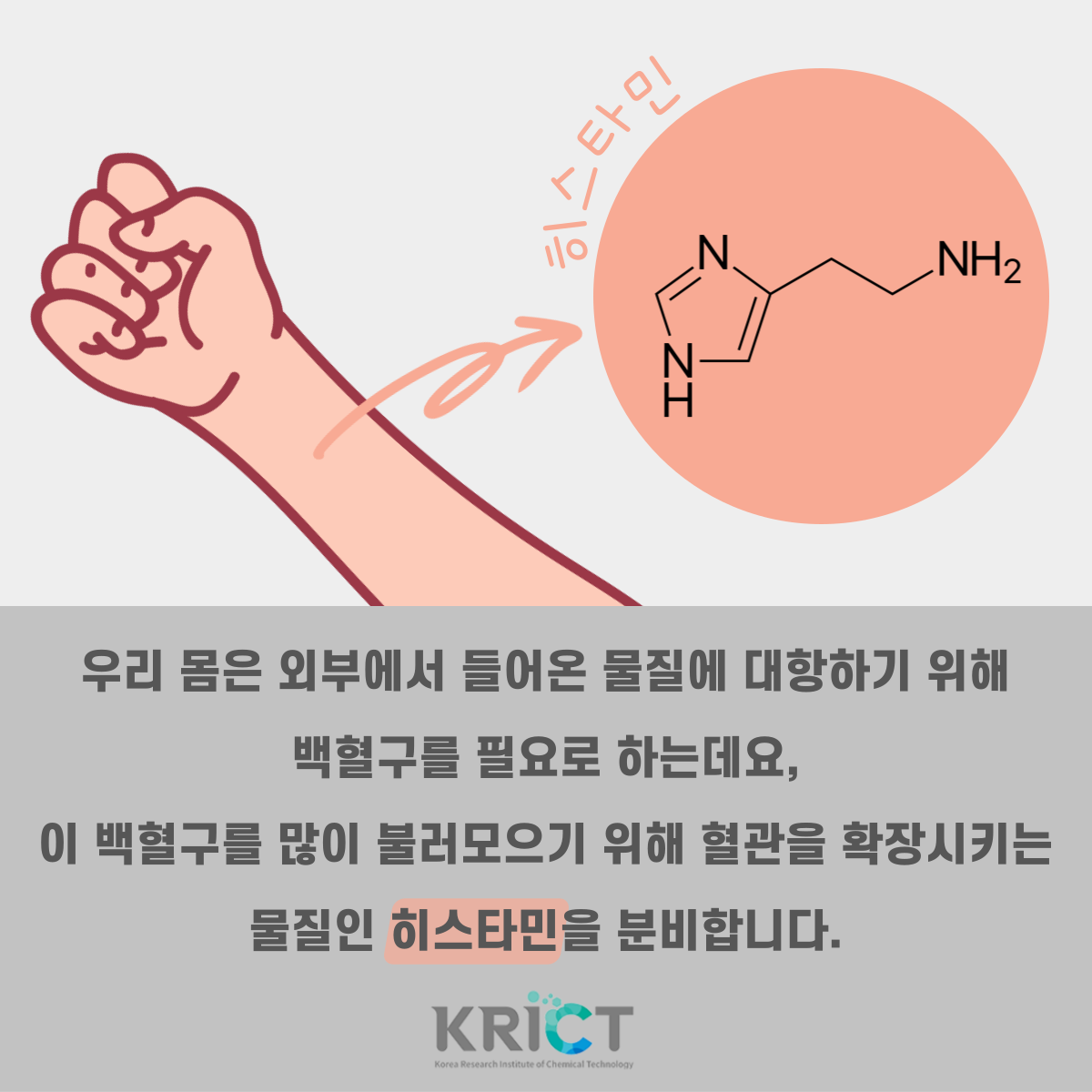 화학사랑 케미러브